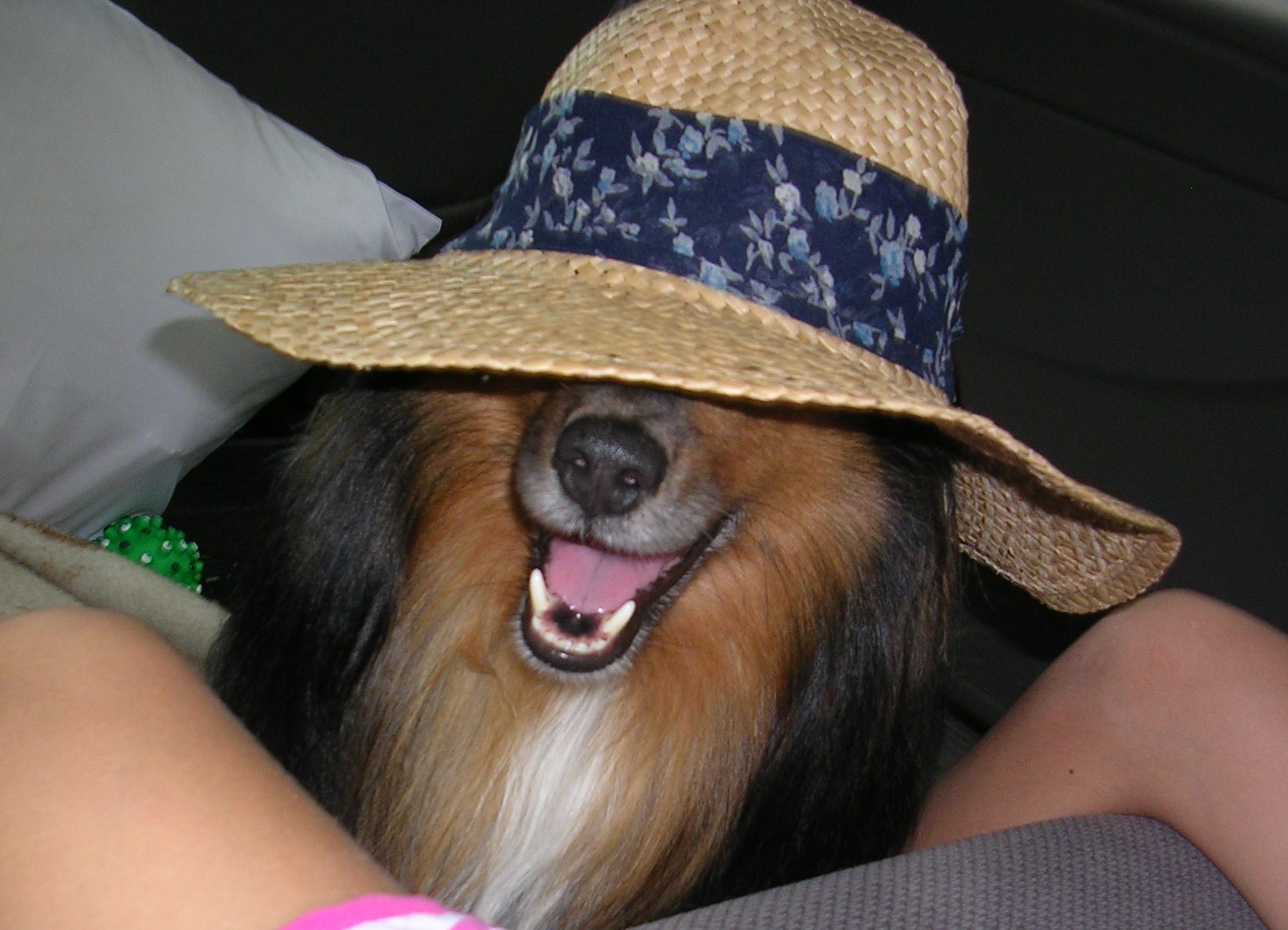 Buddy with hat